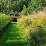 Golden Gardens Park Eugene: A Hidden Emerald Oasis